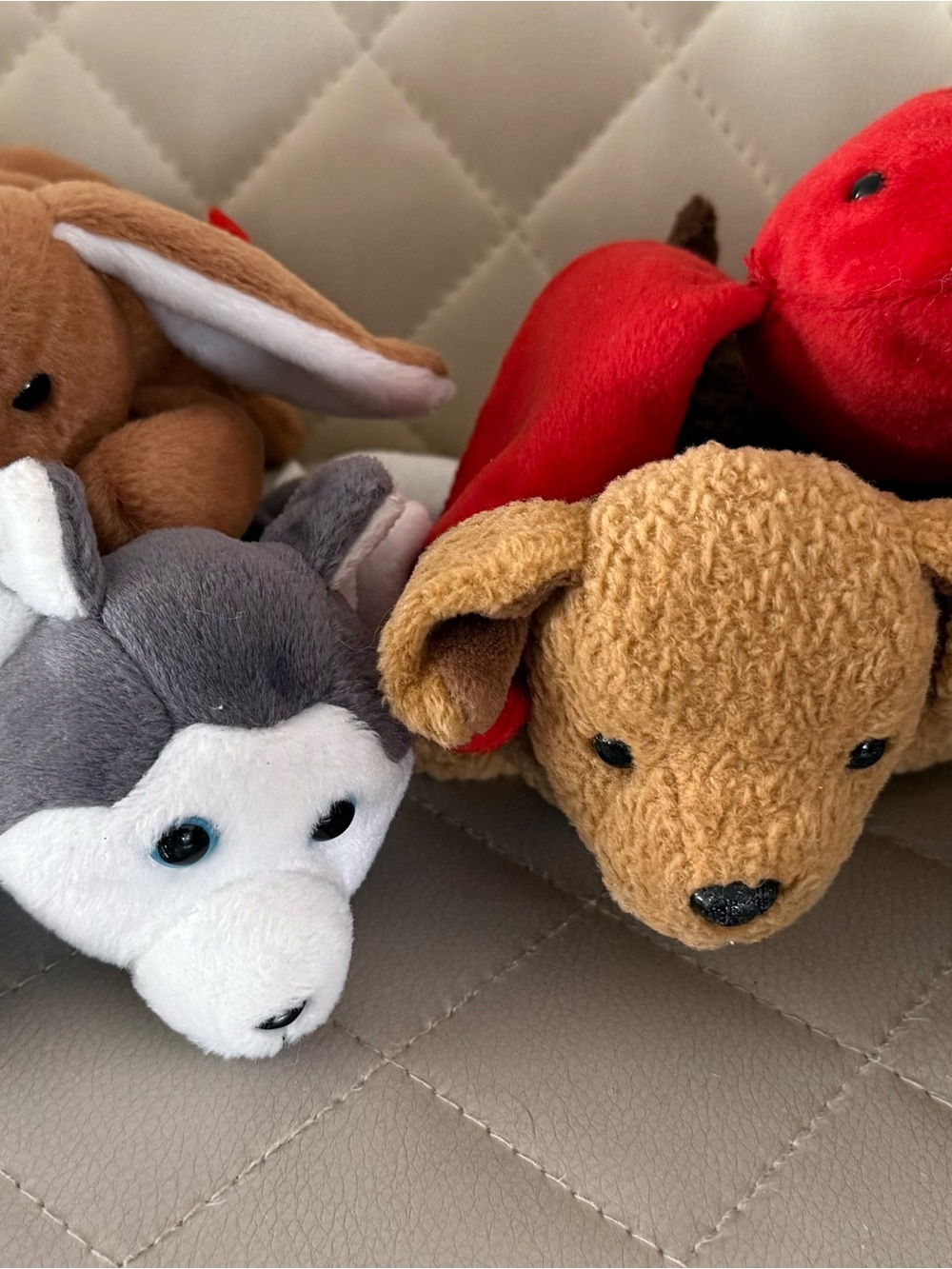 BEANIE BABIES Lot of 6 Plush Puppy and Husky Stuffed Animal Set - Brown & Gray